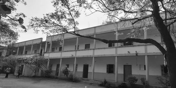 Institution Milestones